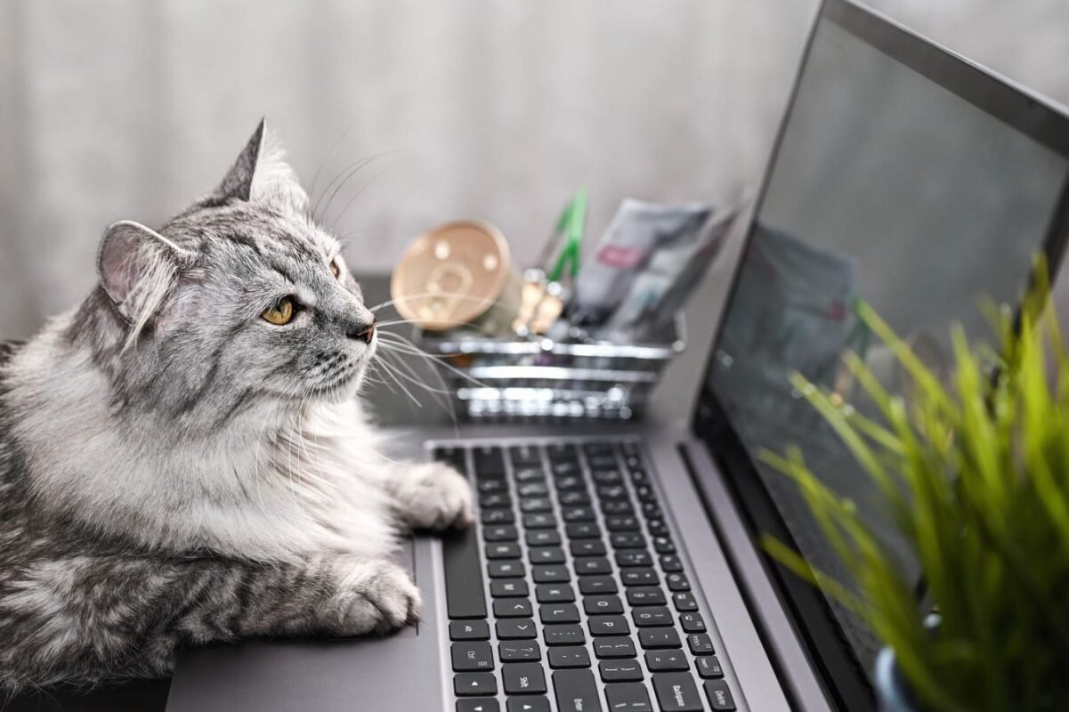 The Cybersecurity Cat-And-Mouse Game